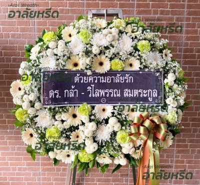 ประวัติการจัดส่ง ประจำเดือนพฤษภาคม 2566