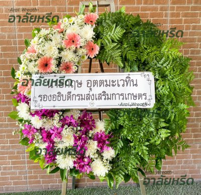 ประวัติการจัดส่ง ประจำเดือนพฤษภาคม 2566