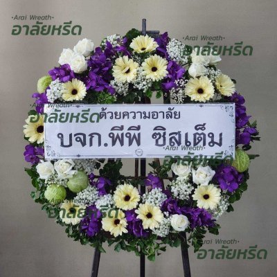 ประวัติการจัดส่ง ประจำเดือนพฤษภาคม 2566