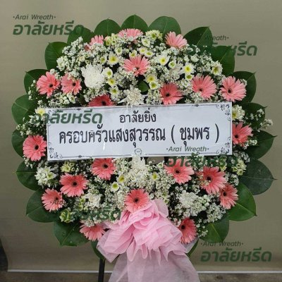 ประวัติการจัดส่ง ประจำเดือนพฤษภาคม 2566