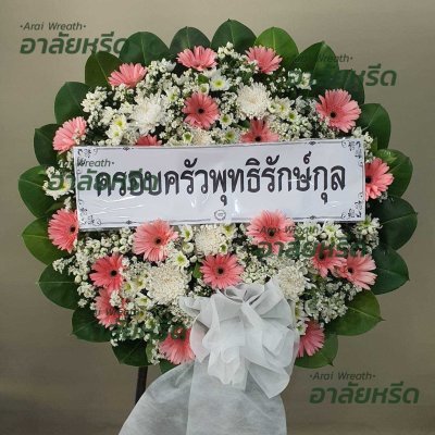 ประวัติการจัดส่ง ประจำเดือนพฤษภาคม 2566