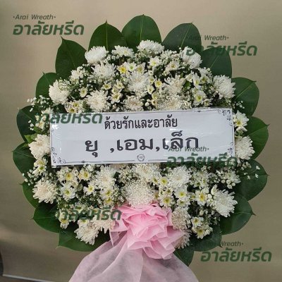 ประวัติการจัดส่ง ประจำเดือนพฤษภาคม 2566