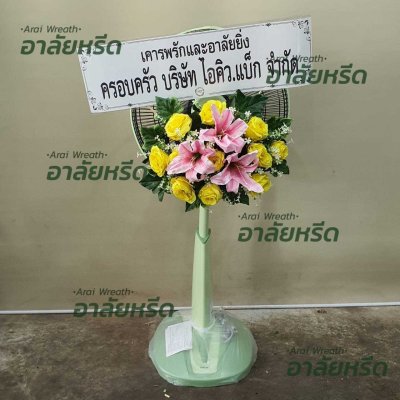 ประวัติการจัดส่ง ประจำเดือนพฤษภาคม 2566