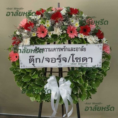 ประวัติการจัดส่ง ประจำเดือนพฤษภาคม 2566