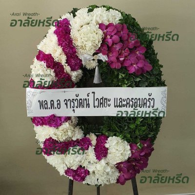 ประวัติการจัดส่ง ประจำเดือนพฤษภาคม 2566