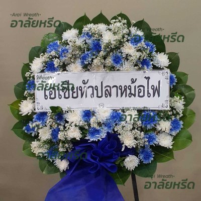 ประวัติการจัดส่ง ประจำเดือนพฤษภาคม 2566