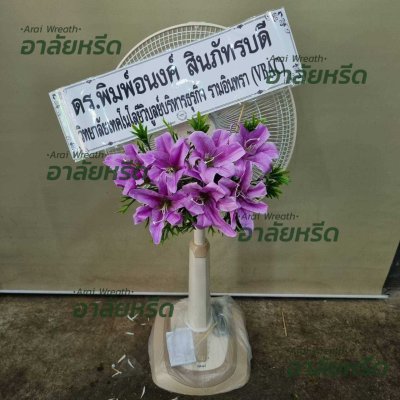 ประวัติการจัดส่ง ประจำเดือนพฤษภาคม 2566