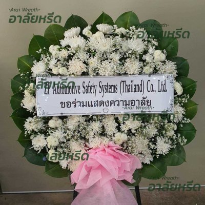 ประวัติการจัดส่ง ประจำเดือนพฤษภาคม 2566