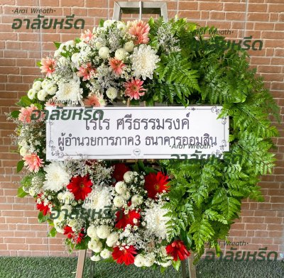 ประวัติการจัดส่ง ประจำเดือนพฤษภาคม 2566