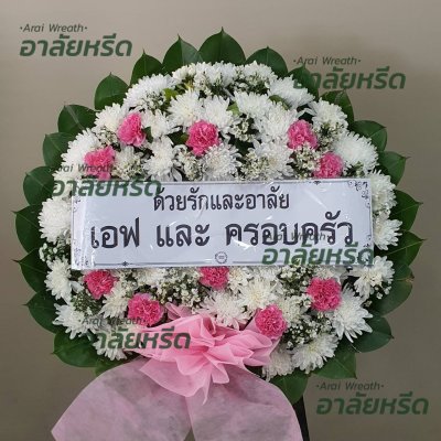 ประวัติการจัดส่ง ประจำเดือนกรกฎาคม 2566