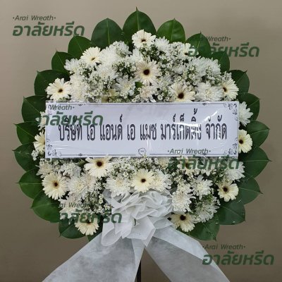 ประวัติการจัดส่ง ประจำเดือนกรกฎาคม 2566