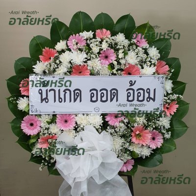 ประวัติการจัดส่ง ประจำเดือนกรกฎาคม 2566