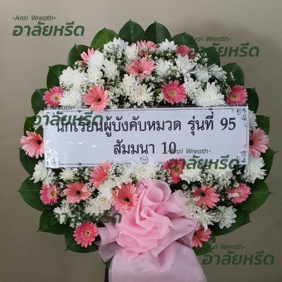 ประวัติการจัดส่ง ประจำเดือนกรกฎาคม 2566