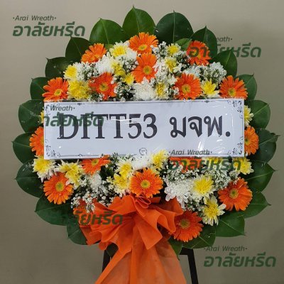 ประวัติการจัดส่ง ประจำเดือนกรกฎาคม 2566