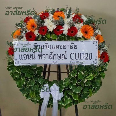 ประวัติการจัดส่ง ประจำเดือนกรกฎาคม 2566