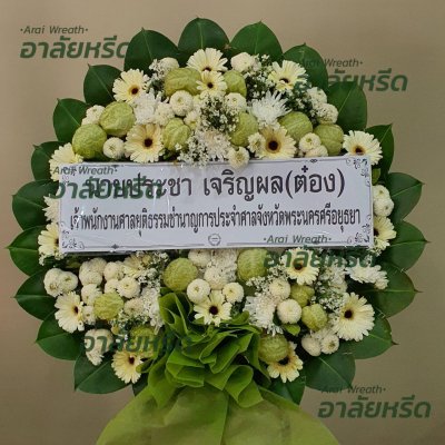 ประวัติการจัดส่ง ประจำเดือนกรกฎาคม 2566