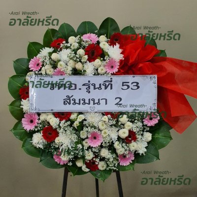 ประวัติการจัดส่ง ประจำเดือนกรกฎาคม 2566