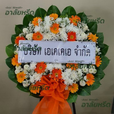 ประวัติการจัดส่ง ประจำเดือนกรกฎาคม 2566