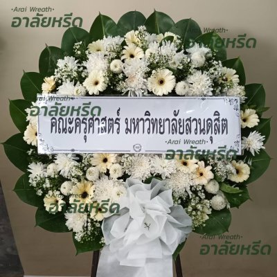 ประวัติการจัดส่ง ประจำเดือนกรกฎาคม 2566