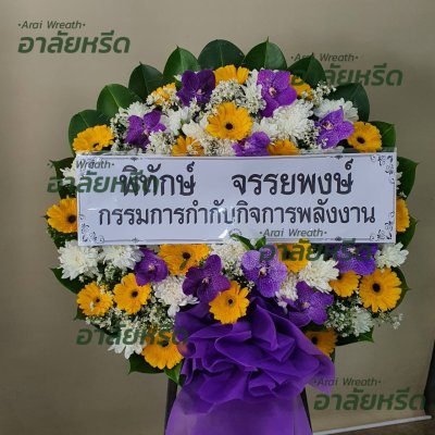 ประวัติการจัดส่ง เดือน สิงหาคม 2566