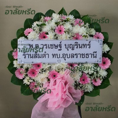 ประวัติการจัดส่ง เดือน สิงหาคม 2566