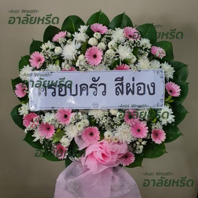 ประวัติการจัดส่ง เดือน สิงหาคม 2566