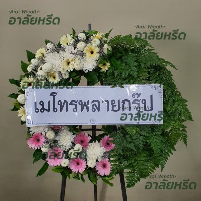 ประวัติการจัดส่ง เดือน สิงหาคม 2566