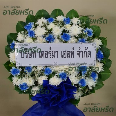 ประวัติการจัดส่ง เดือน สิงหาคม 2566