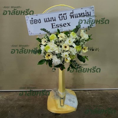 ประวัติการจัดส่ง เดือน สิงหาคม 2566