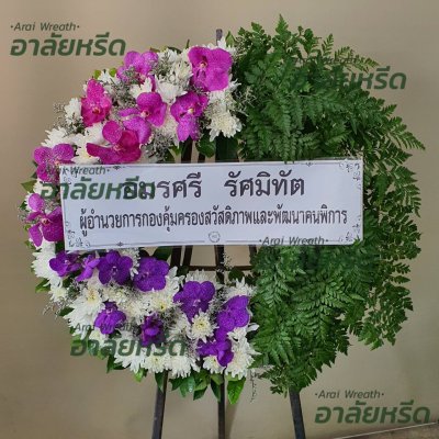 ประวัติการจัดส่ง เดือน สิงหาคม 2566