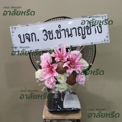 ประวัติการจัดส่ง เดือน สิงหาคม 2566