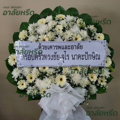 ประวัติการจัดส่ง เดือน สิงหาคม 2566