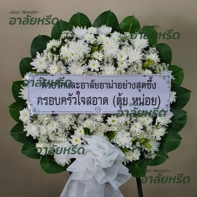 ประวัติการจัดส่ง เดือน สิงหาคม 2566