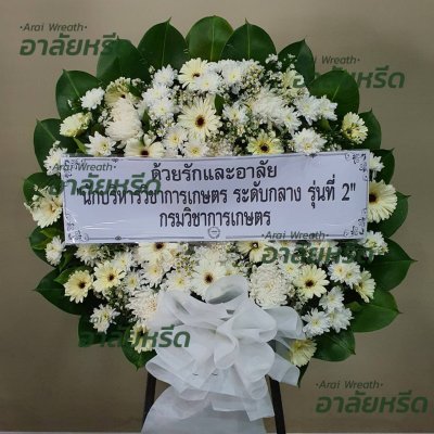 ประวัติการจัดส่ง เดือน สิงหาคม 2566