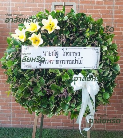 ประวัติการจัดส่ง เดือน สิงหาคม 2566