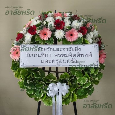 ประวัติการจัดส่ง ประจำเดือนตุลาคม 2565