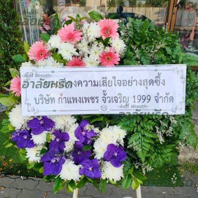 ประวัติการจัดส่ง ประจำเดือนพฤศจิกายน 2565