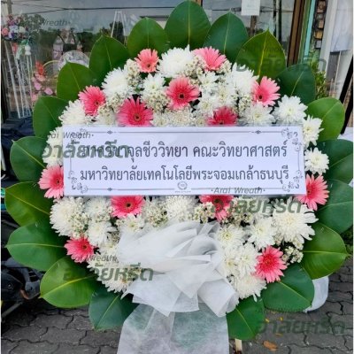 ประวัติการจัดส่ง ประจำเดือนพฤศจิกายน 2565