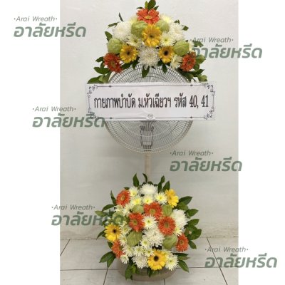 ประวัติการจัดส่ง ประจำเดือนพฤศจิกายน 2565