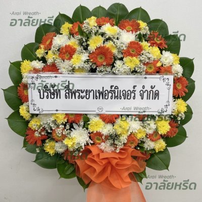 ประวัติการจัดส่ง ประจำเดือนพฤศจิกายน 2565