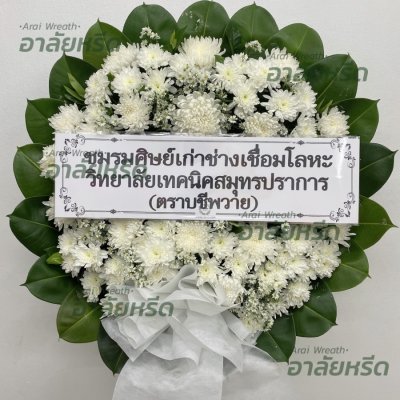 ประวัติการจัดส่ง ประจำเดือนพฤศจิกายน 2565