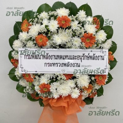 ประวัติการจัดส่ง ประจำเดือนพฤศจิกายน 2565