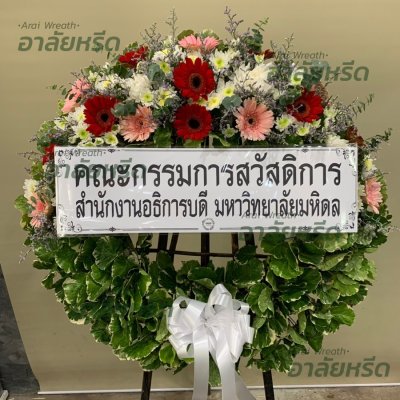 ประวัติการจัดส่ง ประจำเดือนพฤศจิกายน 2565