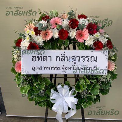 ประวัติการจัดส่ง ประจำเดือนพฤศจิกายน 2565