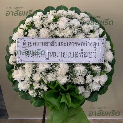 ประวัติการจัดส่ง ประจำเดือนพฤศจิกายน 2565