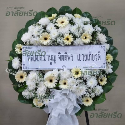 ประวัติการจัดส่ง ประจำเดือนพฤศจิกายน 2565