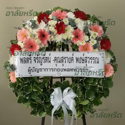 ประวัติการจัดส่ง ประจำเดือนธันวาคม 2565