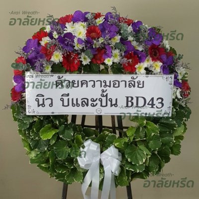 ประวัติการจัดส่ง ประจำเดือนธันวาคม 2565