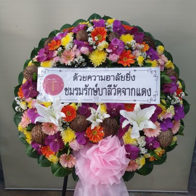 ประวัติการจัดส่งประจำเดือน มีนาคม 2565