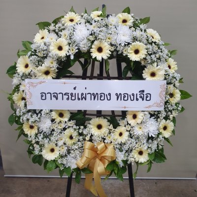 ประวัติการจัดส่งประจำเดือน เมษายน 2565